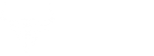 LCS Fashion